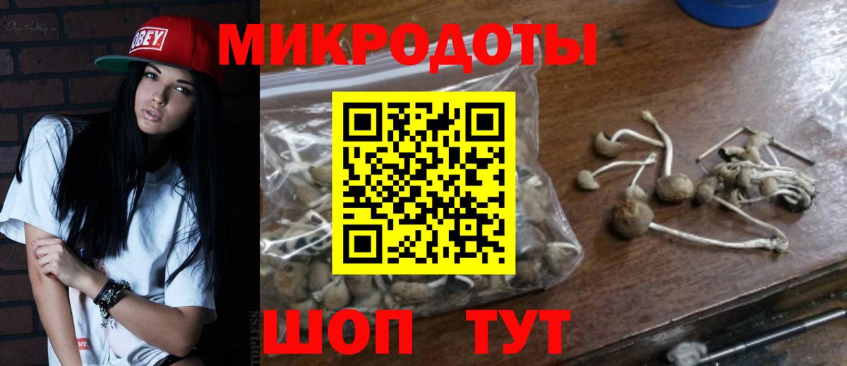Галлюциногенные грибы GOLDEN TEACHER Новозыбков